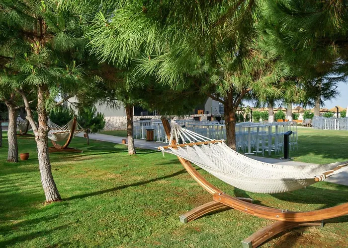 Agaya Didim